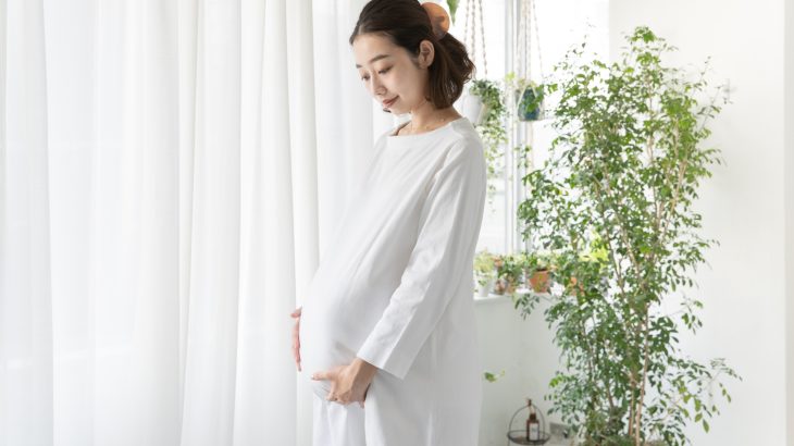 妊娠中に知っておきたいこと：初めての妊婦生活を安心して楽しむために