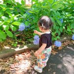 2歳児の発達チェックリストと特徴: 成長を理解するためのガイド