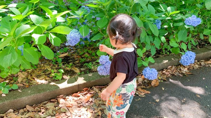 2歳児の発達チェックリストと特徴: 成長を理解するためのガイド