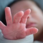 8月生まれの子どもに向けた保活スケジュールとポイント