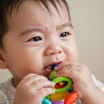 赤ちゃんの歯が生える時期とその特徴
